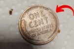 How a 10-Year-Old Found a Lincoln Penny That Changed His Family’s Life