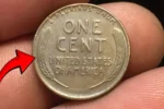 The Lincoln Wheat Penny Valued at $2.9 Billion, Still in Circulation